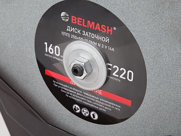 BELMASH WPG-250/200VS